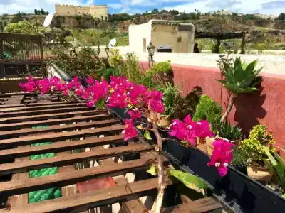 Riad Toyour- Riad of birds - 70