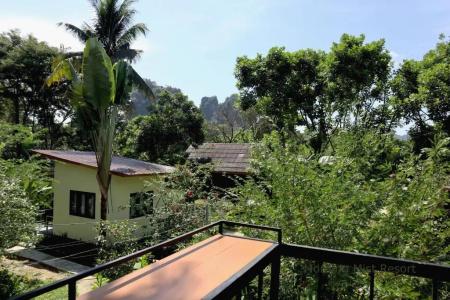 Khao Sok Morning Mist Resort - 55