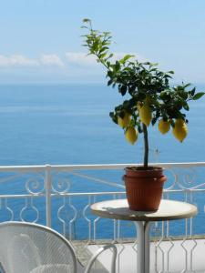 Holiday - 190