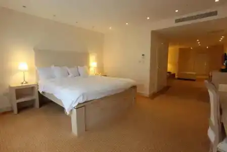 Hôtel du Grand Lac Excelsior - 36