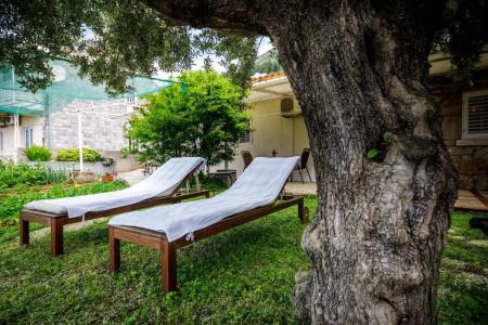 Guest House Anica - 11