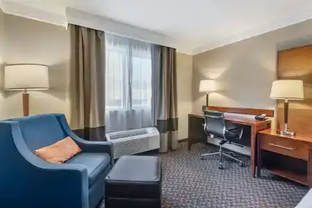 Comfort Inn & Suites - 58