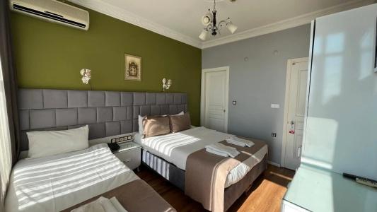 Tulip House - 42