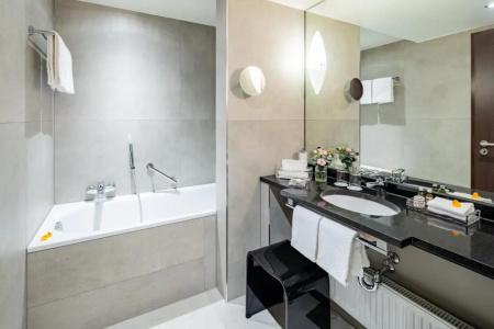 Park Plaza Trier - 66