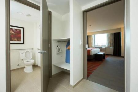 Holiday Inn Houston s - Nrg Area - Med Ctr, An Ihg - 47