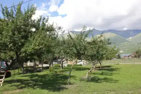 Mountain Star in Mestia - 7