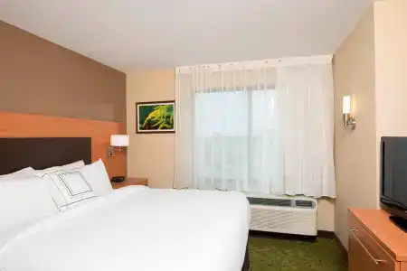 TownePlace Suites by Marriott South/Hamburg Place - 39