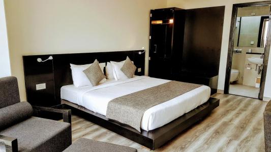 The Saneer Jaipur - 16