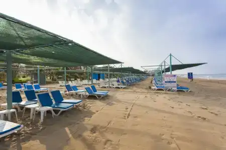 Iz Flower Side Beach - 19