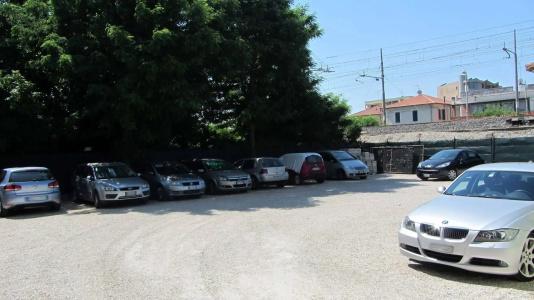 Fiorella - 5
