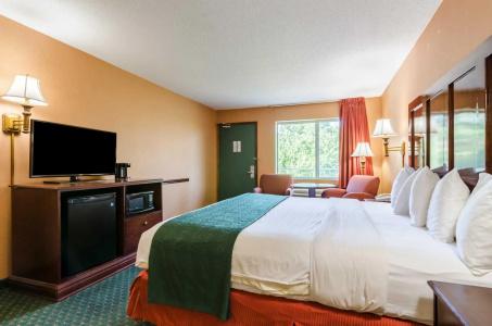 Quality Inn South - 34