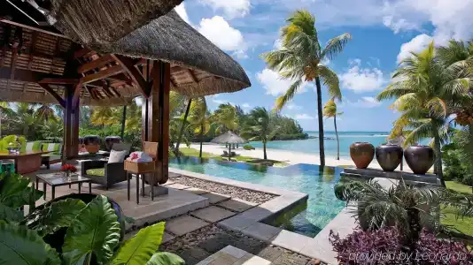 Tropical Attitude (Adults Only) - 0