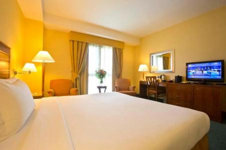 Mercure Leonardo da Vinci Rome Airport - 36