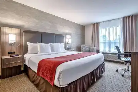 Comfort Inn & Suites South - 24