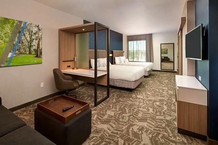 SpringHill Suites by Marriott Winter Park - 27