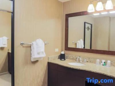 Sheraton Mission Valley San Diego - 108
