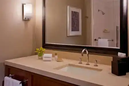 Hyatt Regency - 29