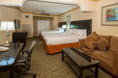 Holiday Inn Express & Suites Central - 4