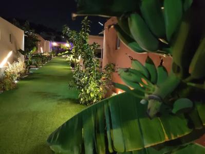 Modular Bungalows Vravrona Artemis Greece - 21