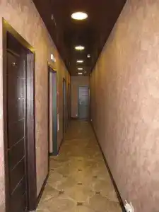 Шелк - 11