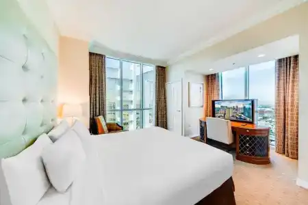 Jet Luxury at The Vdara - 2