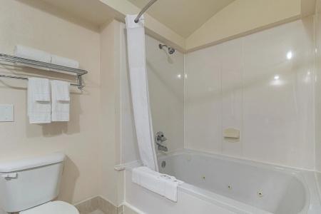 Quality Inn & Suites West Chase - 9