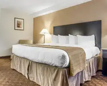 Quality Inn & Suites Coliseum - 23
