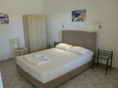 Thira's Dolphin - 46