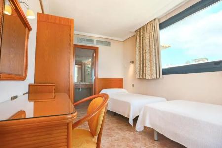 Kaktus Albir - 140