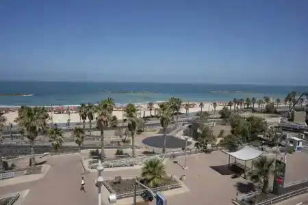 Olive Tlv 88 Sea - 35