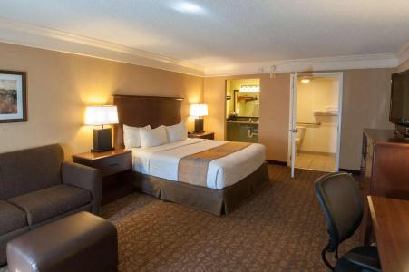 Best Western Inn of the Ozarks - 72