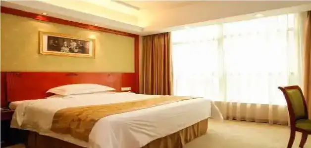 Vienna Dongguan Hou street Wanda Plaza - 6