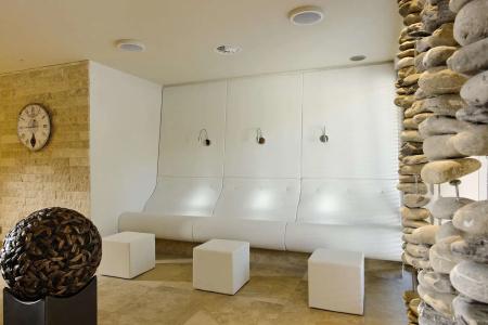 Aspen Alpine Lifestyle - 16