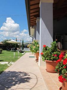 Insolent Inn - 15