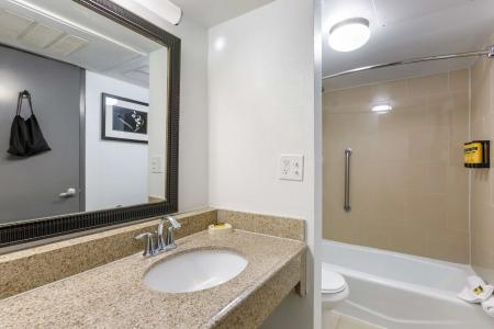 Best Western Plus El Paso Airport & Conference Center - 61