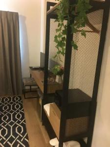 Tree for rest poshtel - 1