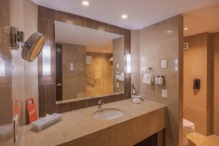 Holiday Inn Guadalajara Select, An Ihg - 80