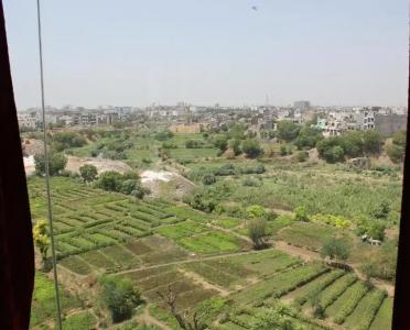 Savi Regency - 43