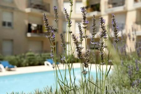 ApartAdagio Access Rodesse - 22
