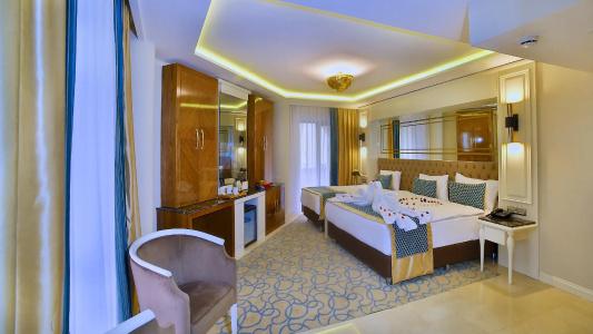 Beethoven Premium - 20