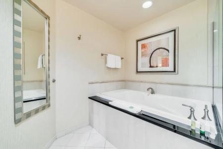Jet Luxury at The Vdara - 37