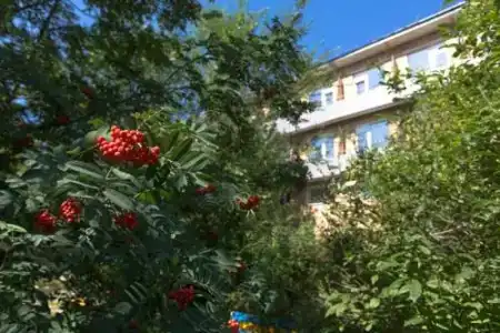 Три Медведя - 0