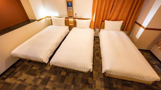 Toyoko Inn Chubu International Airport No 2 - 29