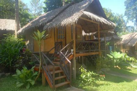 Jungle Garden - 16