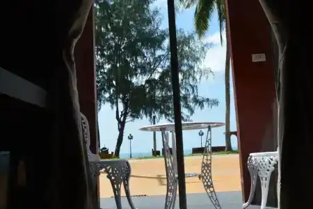 World Cat Resort - 83