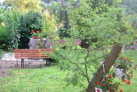 -Gasthof Rose - 19