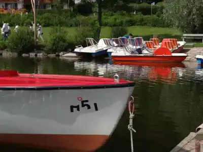 Geiger - 5