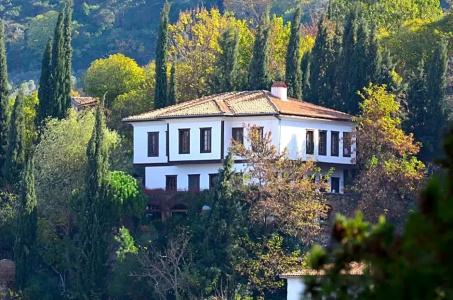 Nisanyan - 37