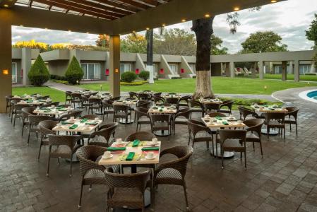 Camino Real Guadalajara - 25