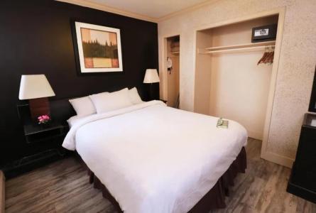 Divya Sutra Suites on Robson Downtown - 109